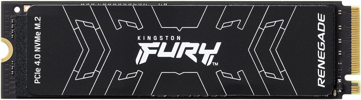 Kingston Fury Renegade