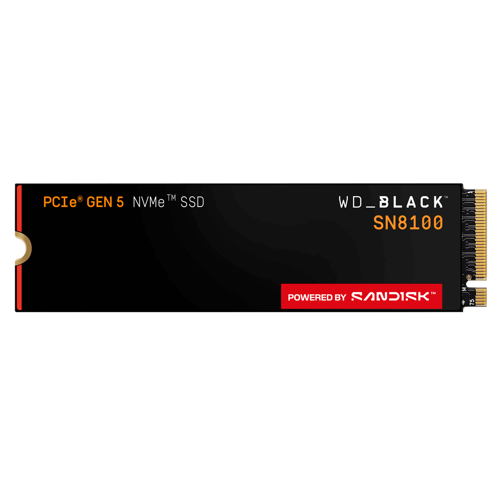 WD Black SN8100